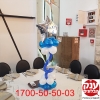 סידור בלונים לברית מילה