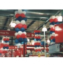 עיצוב סניפי ACE