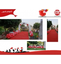 הצעת נישואין מיוחדת בית שמש