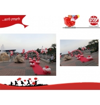 הפקת הצעת נישואין פארק פרס חולון