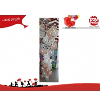 בלונים שקופים עם כיתוב זר בלונים הורס 