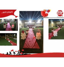 הצעת נישואין מרגשת marry me  מפרחים ניסים&רחל