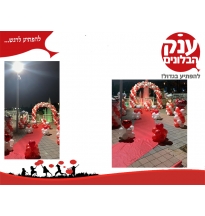 הצעת נישואין מרגשת פארק פרס חולון