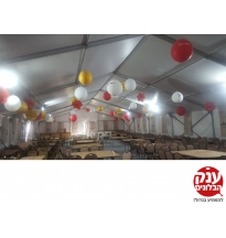 בלונים לקידום מכירות 