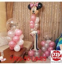 יום הולדת מיני מאוס 1