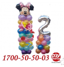 יום הולדת 2 מיני מאוס מושלם