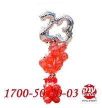 זר בלוני הליום מספרים 23 