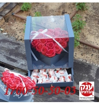 פרחים בקופסא חולון\כפר סבא להיט 