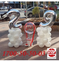 פרחים בקופסא לאישה ליום הולדת המושלמת 