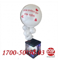 דובי פרחים קטן בכפר סבא 