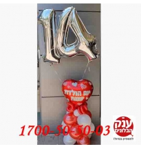 מתנה ליום הולדת 14 מההורים