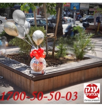 בלון ובתוכו שוקולד טעים ודובי אהבה 