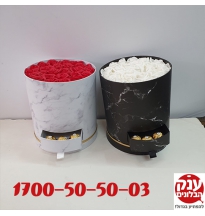 מתנה יפה לאישה 