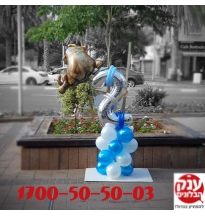 עיצוב יום הולדת שנתיים סימבה מלך האריות