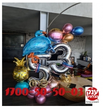עיצוב בלונים ליום הולדת 53 פלמינגו 
