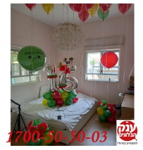 חדר בלונים ג'ונגל ליום הולדת 16